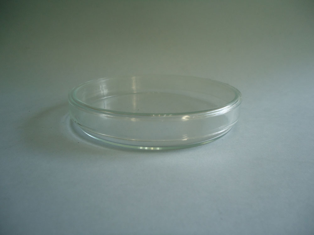 Caja Petri vidrio 12 cms.